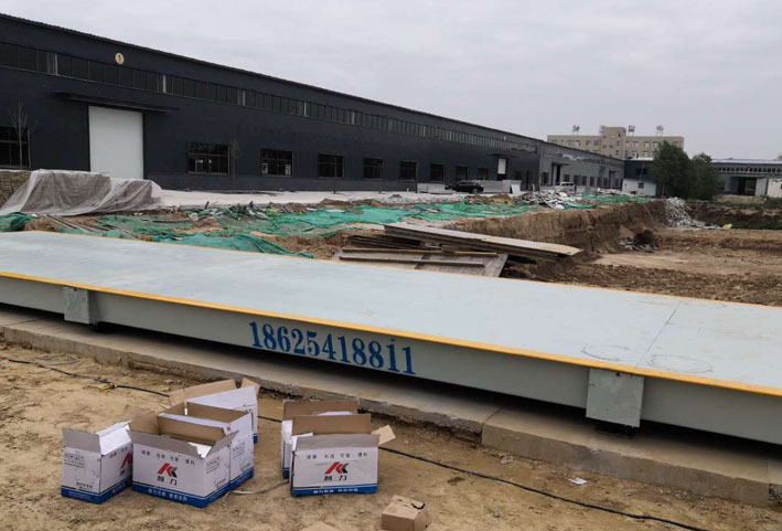 1575012414100409.jpg 2.jpg